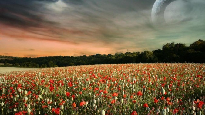 普洱茶投资分析:如何打好“预售”这张牌